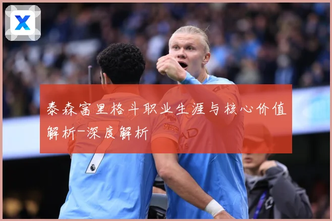 泰森富里格斗职业生涯与核心价值解析-深度解析