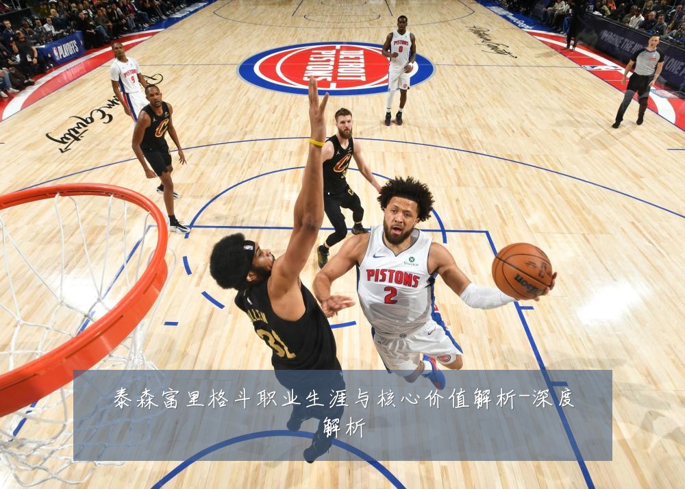 泰森富里格斗职业生涯与核心价值解析-深度解析