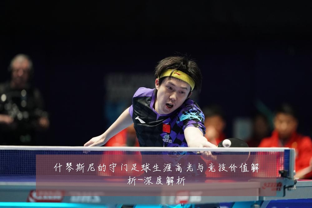 什琴斯尼的守门足球生涯高光与竞技价值解析-深度解析
