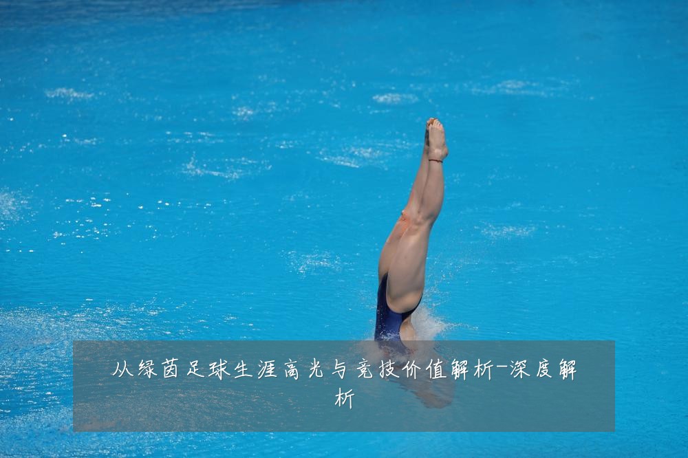 从绿茵足球生涯高光与竞技价值解析-深度解析